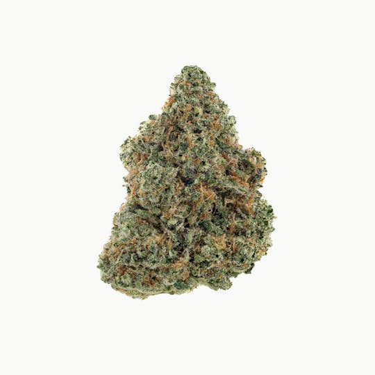 Revolution Cannabis - Revolution | Crockett's Dawg | Flower | 3.5G - 1