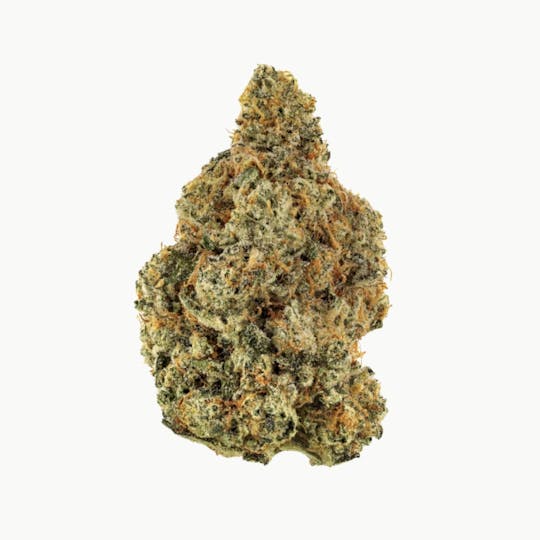 Revolution Cannabis - Revolution | Georgia Pie | Flower | 14G - 1