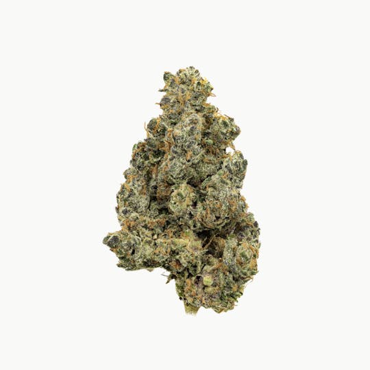 Revolution Cannabis - Revolution | Apples and Bananas | Flower | 3.5G - 1