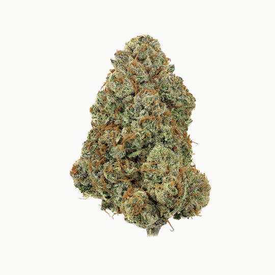 Revolution Cannabis - Revolution | T1000 | Flower | 3.5G - 1