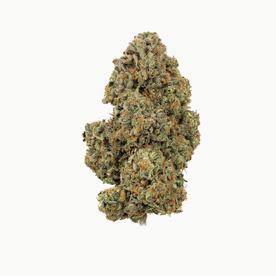 Revolution Cannabis - Revolution | Rainbow Belts | Flower | 7G - 1