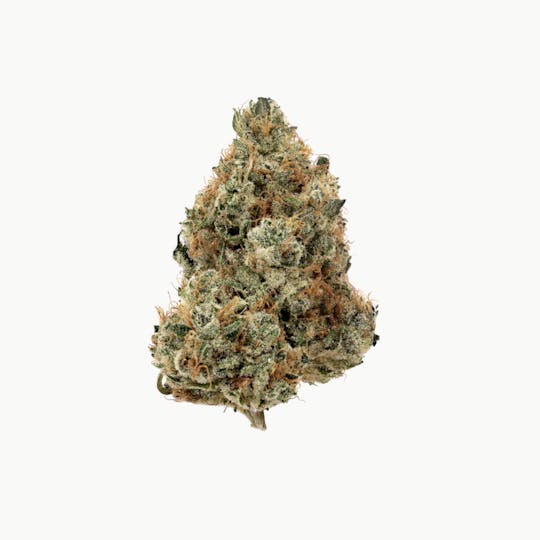 Revolution Cannabis - Tales & Travels | Luckleberries #59 | Flower | 7G - 1