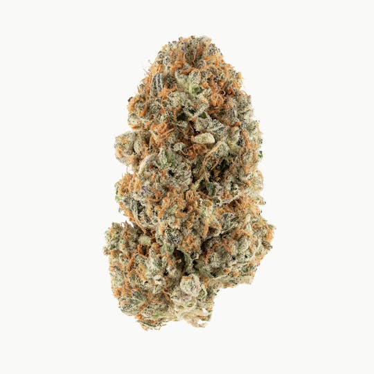 Revolution Cannabis - Tales & Travels| 4 Kings | Flower | 7G - 1