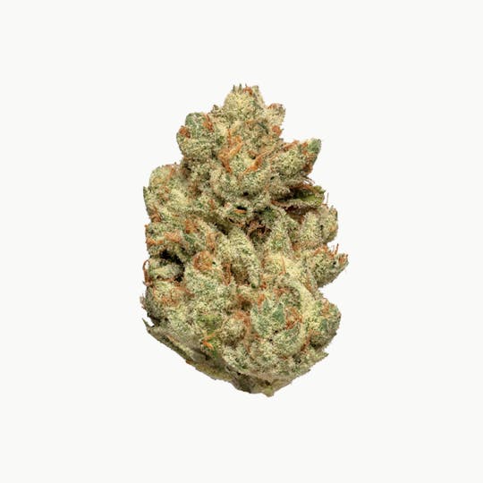Revolution Cannabis - Revolution | Gorilla'd Cheese | Flower | 14G - 1