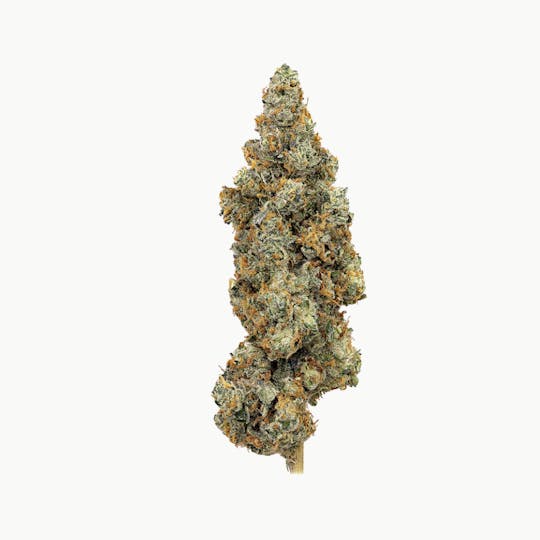 Revolution Cannabis - Revolution | First Class Funk | Flower | 14G - 1