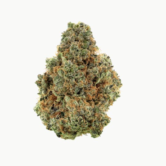 Revolution Cannabis - Tales & Travels | Every Rose | Flower | 3.5G - 1