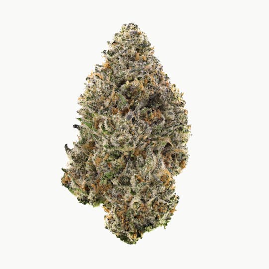 Revolution Cannabis - Tales & Travels | Cosmic Cloud | Flower | 3.5G - 1