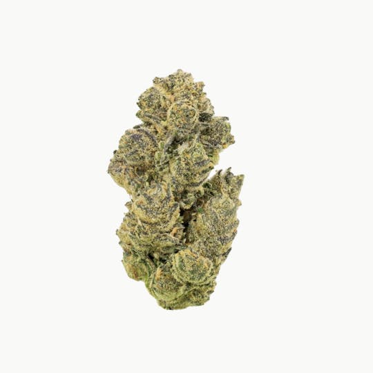 Revolution Cannabis - Revolution | Manzano | Flower | 3.5G - 1