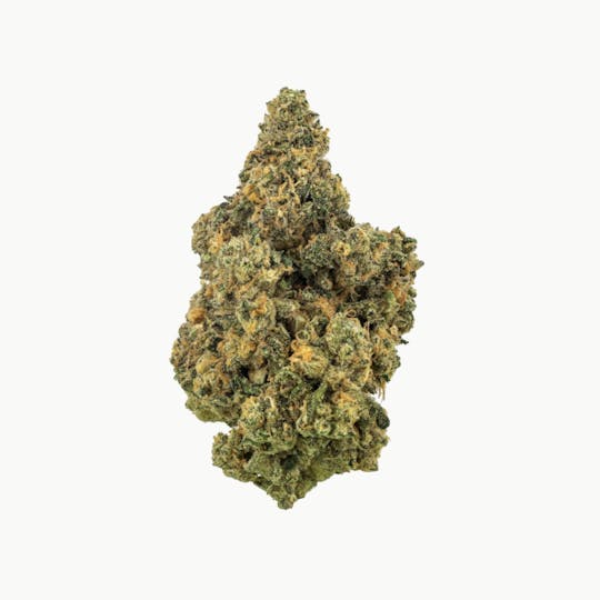 Revolution Cannabis - Revolution | Paradise #6 | Flower | 3.5G - 1