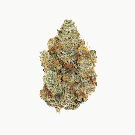 Revolution Cannabis - Tales & Travels | Banana Pudding | Flower | 3.5G - 1