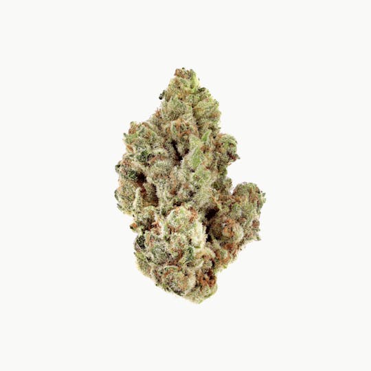 Revolution Cannabis - Tales & Travels | Peach Maraschino | Flower | 3.5G - 1