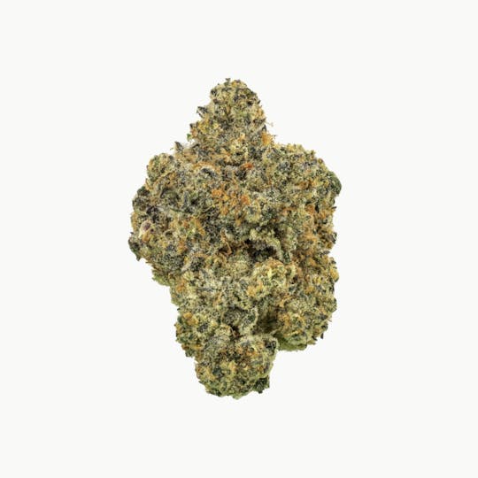 Revolution Cannabis - Revolution | Gone Swishin' | Flower | 3.5G - 1