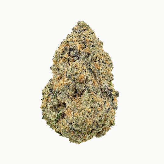 Revolution Cannabis - Tales & Travels | Moon Boots | Flower | 7G - 1