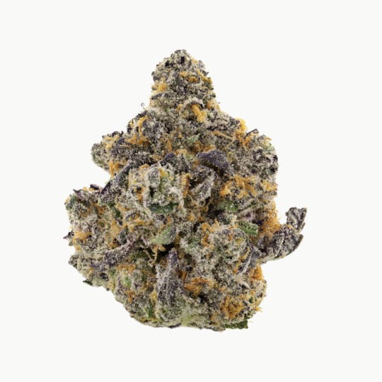 Revolution Cannabis - Tales & Travels | Wanderlust | Flower | 3.5G - 1