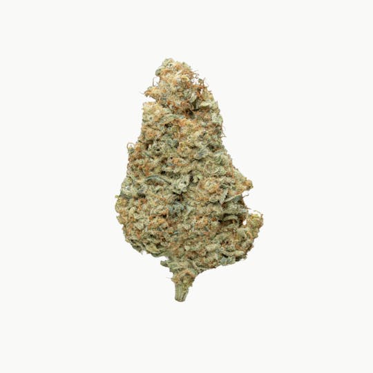 Revolution Cannabis - Revolution | Mac & Cheese "Spicy Papaya Cut" | Flower | 3.5G - 1