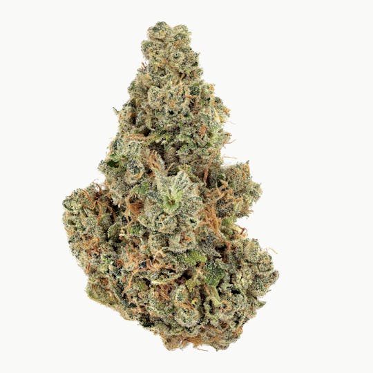 Revolution Cannabis - Tales & Travels | TLC Dos | Flower | 7G - 1