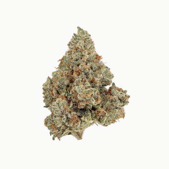 Revolution Cannabis - Revolution | Sun King OG | Flower | 3.5G - 1