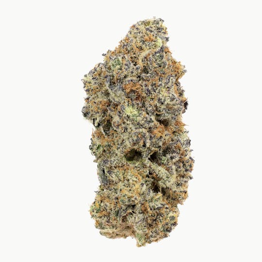 Revolution Cannabis - Tales & Travels | Raspberry Shortcake | Flower | 3.5G - 1