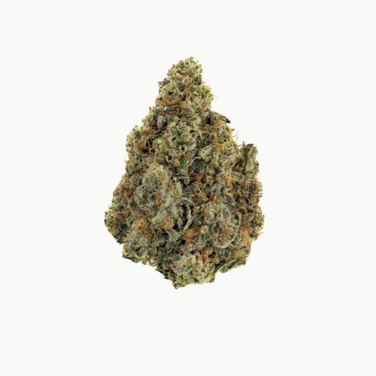 Revolution Cannabis - Revolution | Red Velvet | Flower | 7G - 1