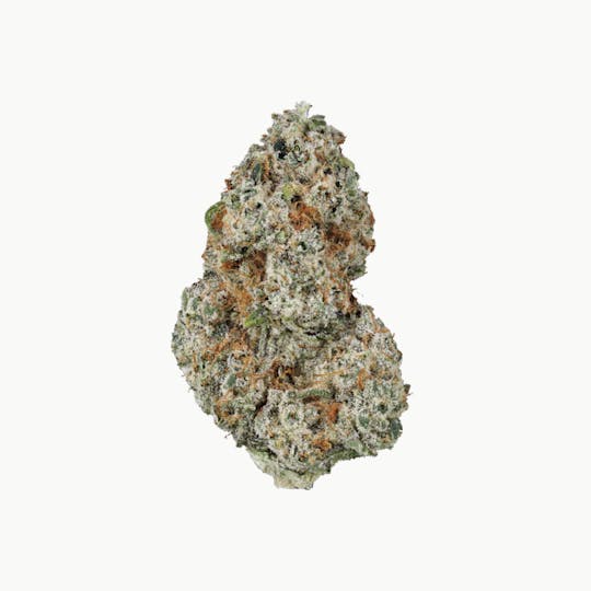 Revolution Cannabis - Revolution | Peach Crescendo | Flower | 7G - 1