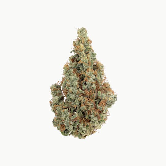 Revolution Cannabis - Revolution | Blueberry Clementine | Flower | 3.5G - 1