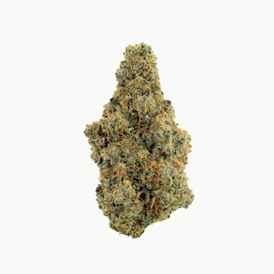 Revolution Cannabis - Revolution | Revlato 41 | Flower | 3.5G - 1