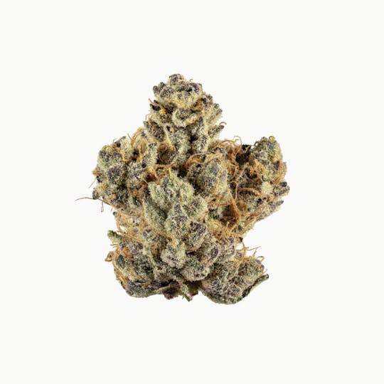 Revolution Cannabis - Tales & Travels| Wedding Sherb | Flower | 7G - 1