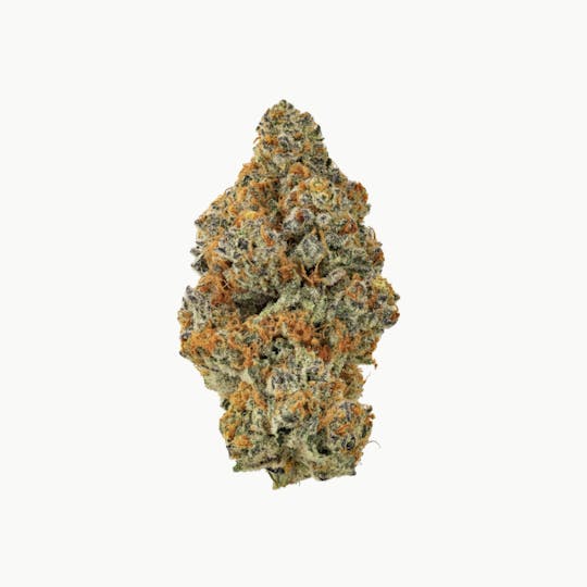Revolution Cannabis - Revolution | Bionic Cheetah | Flower | 7G - 1