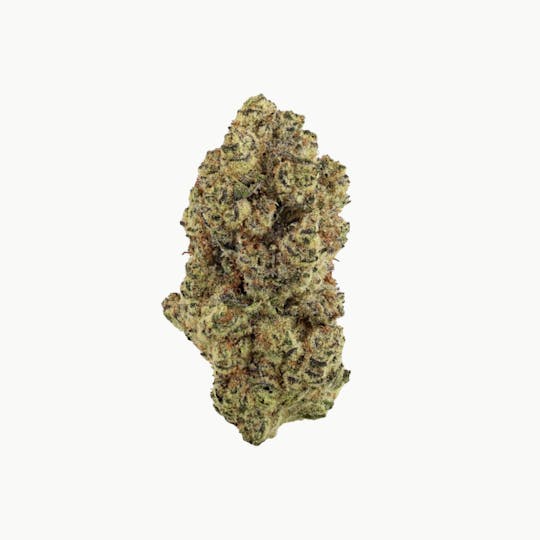 Revolution Cannabis - Revolution | Purple Monarch | Flower | 3.5G - 1