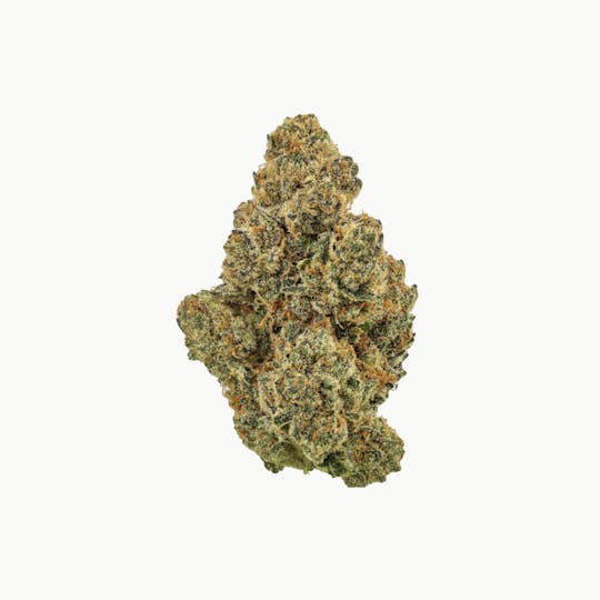 Revolution Cannabis - Revolution | Hawaiian Crown | Flower | 7G - 1