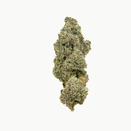 Revolution Cannabis - Revolution | Kush Mintz #3 | Flower | 3.5G - 1