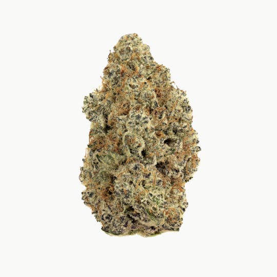 Revolution Cannabis - Revolution | Zeebra Cakez | Flower | 7G - 1