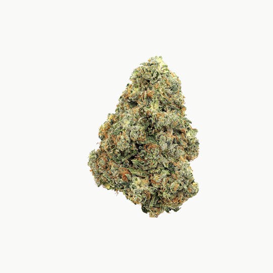 Revolution Cannabis - Revolution | Jungle Cake | Flower | 14G - 1