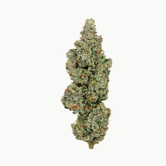 Revolution Cannabis - Revolution | Ya Hemi | Flower | 3.5G - 1