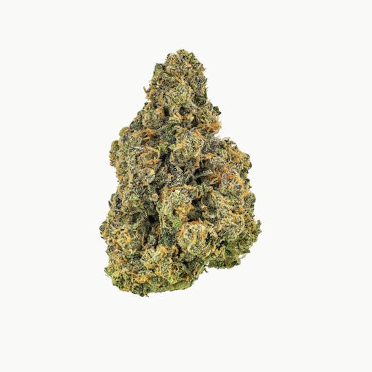 Revolution Cannabis - Revolution | Paradise #9 | Flower | 3.5G - 1