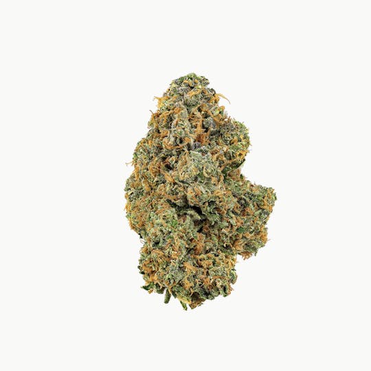 Revolution Cannabis - Revolution | Yellow Zushi | Flower | 3.5G - 1
