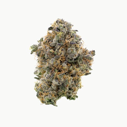Revolution Cannabis - Tales & Travels | Moose Tracks | Flower | 3.5G - 1