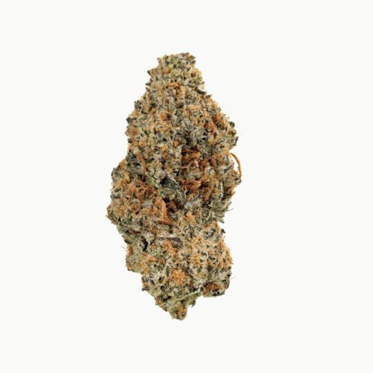 Revolution Cannabis - Tales & Travels | Quantum Runtz | Flower | 7G - 1
