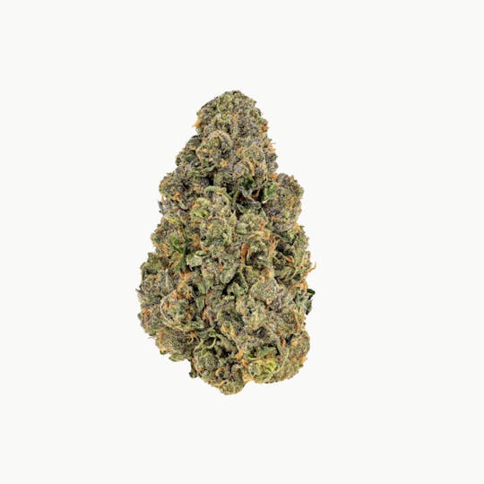 Revolution Cannabis - Revolution | Apple Fritter | Flower | 3.5G - 1