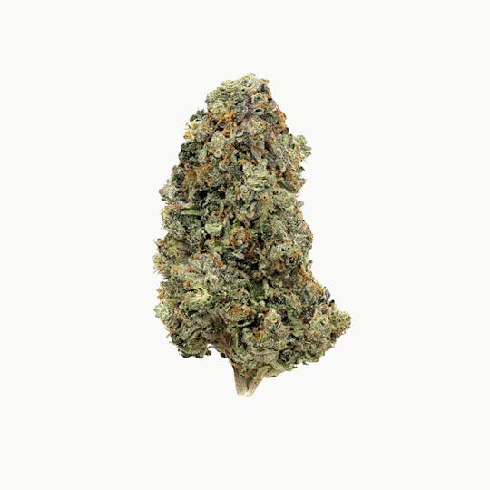 Revolution Cannabis - Revolution | Biscotti | Flower | 7G - 1