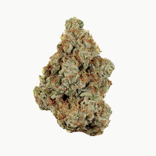 Revolution Cannabis - Revolution | Florida Orange | Flower | 3.5G - 1