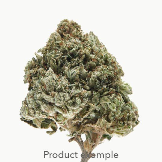 Goodlyfe Farms - Goodlyfe Farms - Stank Breath Flower 28g - 1