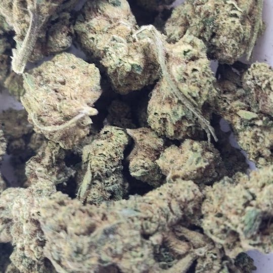 Goodlyfe Farms - Goodlyfe Farms - Grape Pie Flower 28g - 1