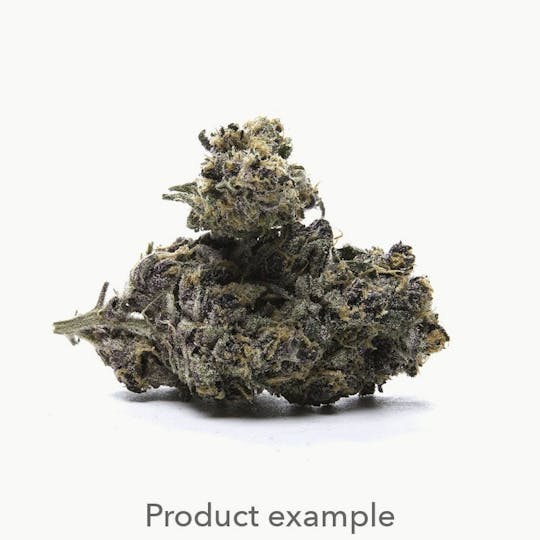 Goodlyfe Farms - Goodlyfe Farms - Cherry Pie X GSC Flower 1g - 1