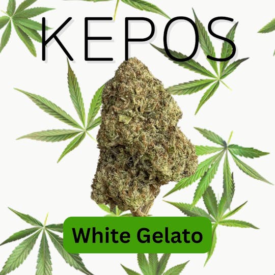 Nu Cannabis Brand - Kepos - White Gelato 14g - PREMIUM FLOWERS - 1