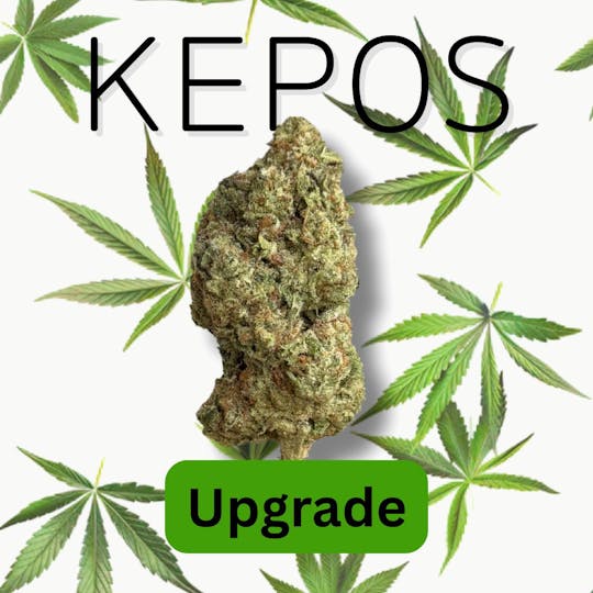 Nu Cannabis Brand - Kepos - Upgrade 3.5g - PREMIUM FLOWERS - 1