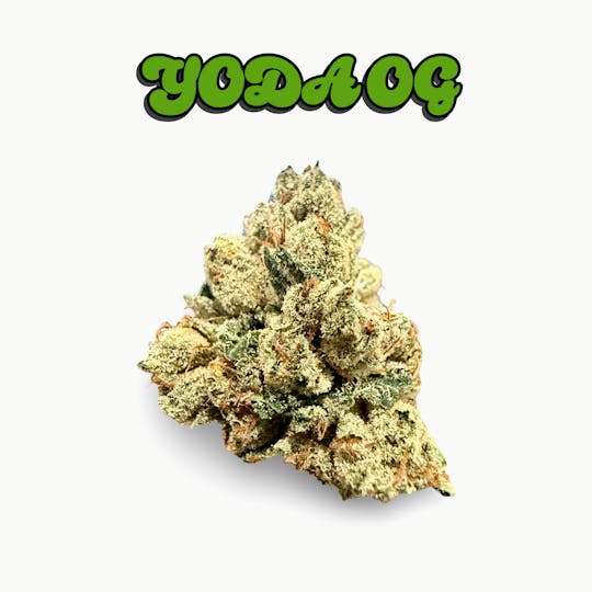 Kings - YODA OG - 14G - INDOOR FLOWER - INDICA - 1