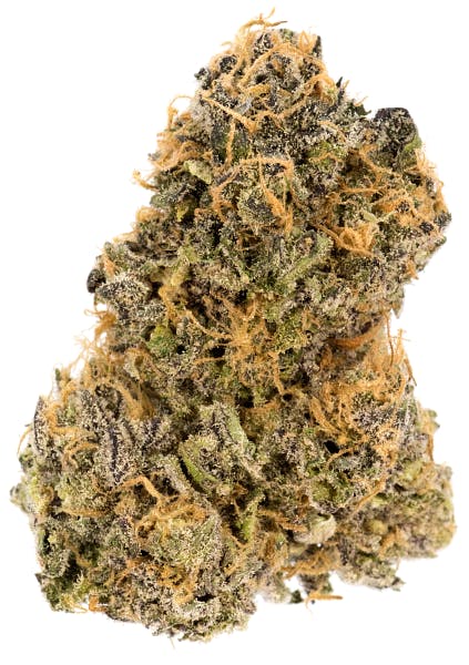 Legends - LEGENDS CANNA CO. - LEGENDS VENDOR SPECIAL FLOWER ZOOKIES 14G - 1
