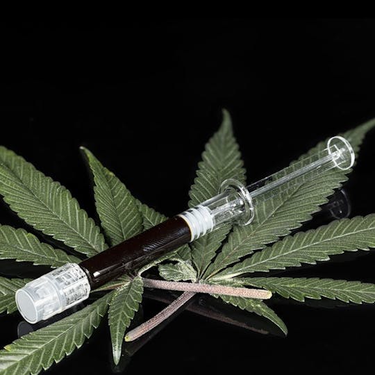 Tamarack Cannabis - Tamarack | 1g RSO Syringe - 1