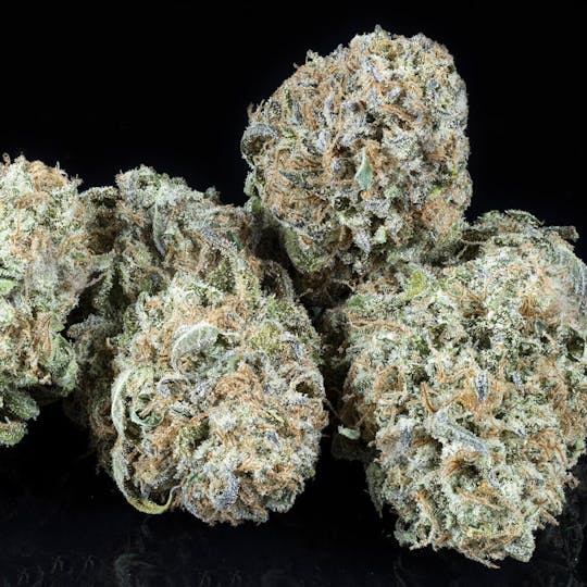 Tamarack Cannabis - Tamarack | A Bud Bulk Flower - Snow Ghost - 1
